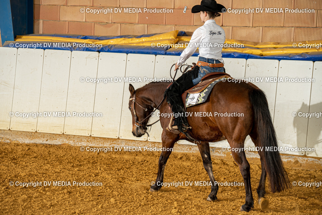 MIT00719 | dv-media-shop - Realisiert mit Pictrs.com