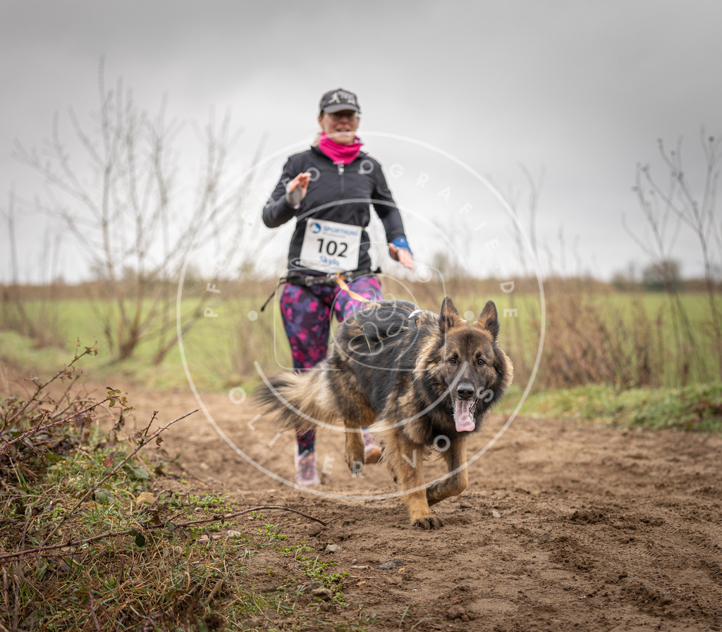 DV3A0178 | Hundefotografie, Tierfotograf, Pfotenfotografie, Fotoshooting Hund, Hunde Portrait, Hundesport, Hundeportraits, Heideshooting, Hunde, Sportfotograf, Hundefotograf, Turnierhundsport, THS,  - Realisiert mit Pictrs.com