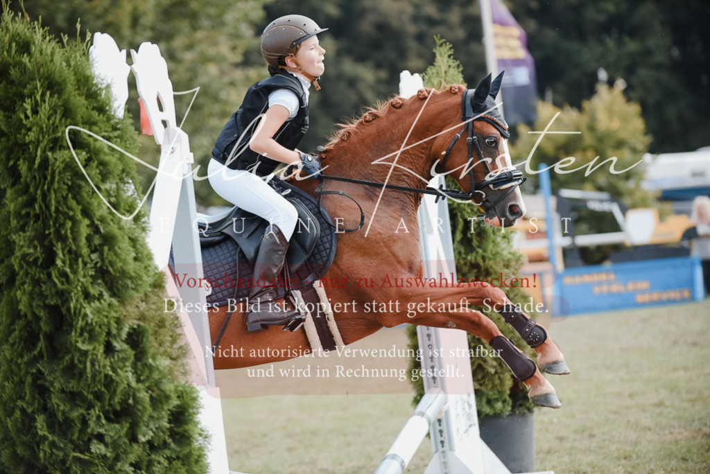 DSC_5223 | Pferde- und Turnierfotografie in Westsachsen. Pferdeportraits, Auftragszeichnungen und intuitive Kunst.