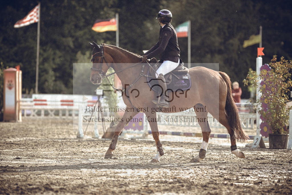 20240531-DOS_0014 | Entdecke hochwertige Reitturnierfotos von Foto Oger. Professionell, emotional und authentisch – jetzt Lieblingsmomente im Shop bestellen.Deutschlandweite Turnierfotografie. - Realisiert mit Pictrs.com