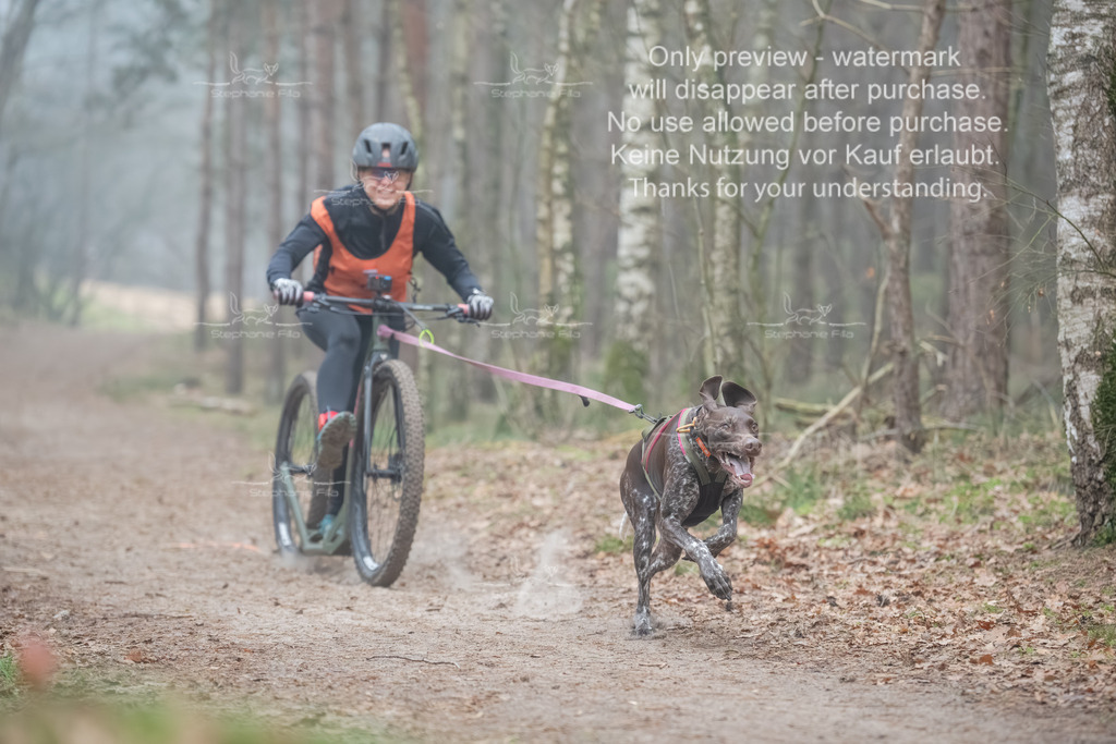 Scooter1-82 | stephaniefillaphotographie - Realisiert mit Pictrs.com