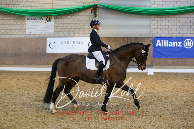 IMG_2714 | Turnierfotos kaufen im Webshop von Daniel Kuhl Photography – entdecke professionelle Reitsportfotos aus Turnieren & Events. Hochwertige Turnierbilder online bestellen & sichern. Jetzt Fotos von Reitsportturnieren kaufen!