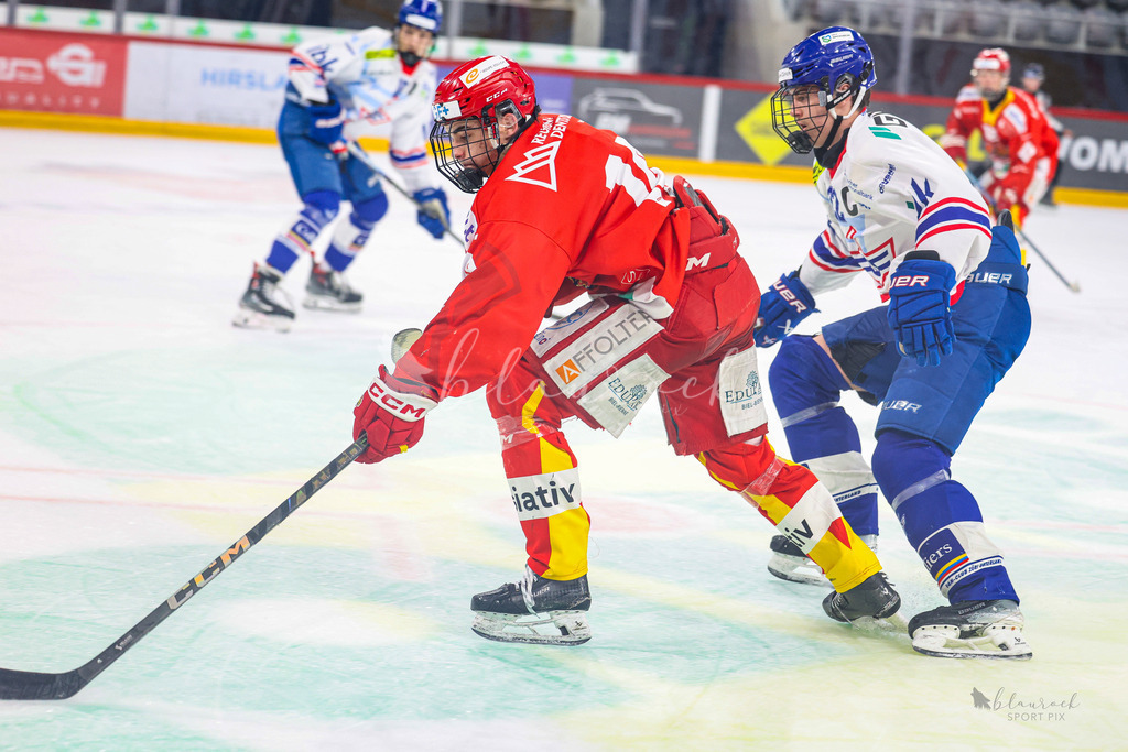 U18_EHCB vs EHCK_wb20260308-0929 | Sportbilder, Sportfotograf, Hochzeits- und Eventfotografin, Flugshows, Portraits und Tiershooting, Aviation, Downhill, Nationalleague, Swissleague, International