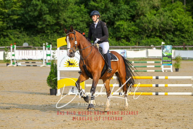 DKP40974 | Turniersportfotografie; Pferdefotografie; Dressurfotografie