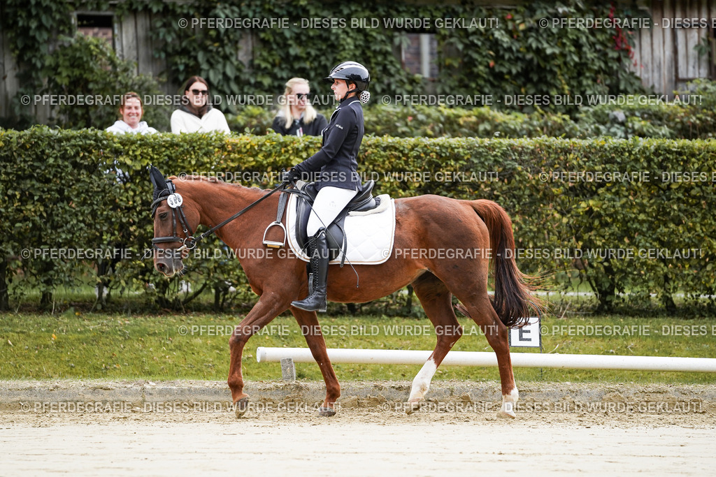 DSC04634 | Pferdegrafie