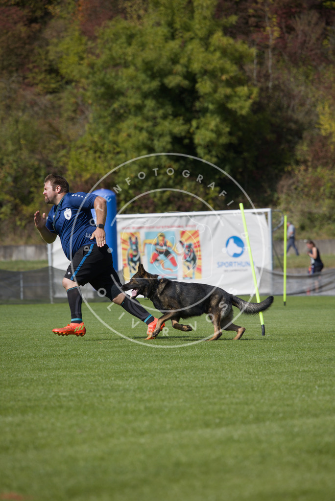 0L8A3175 | Hundefotografie, Tierfotograf, Pfotenfotografie, Fotoshooting Hund, Hunde Portrait, Hundesport, Hundeportraits, Heideshooting, Hunde, Sportfotograf, Hundefotograf, Turnierhundsport, THS,  - Realisiert mit Pictrs.com