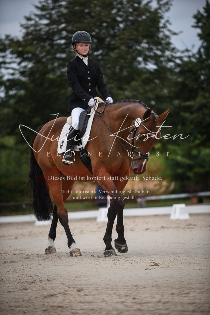 DSC_8039 | Pferde- und Turnierfotografie in Westsachsen. Pferdeportraits, Auftragszeichnungen und intuitive Kunst.