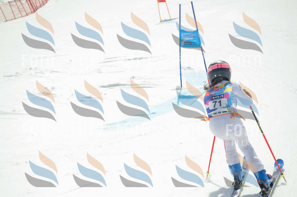 _ELE5436 | holidayphoto