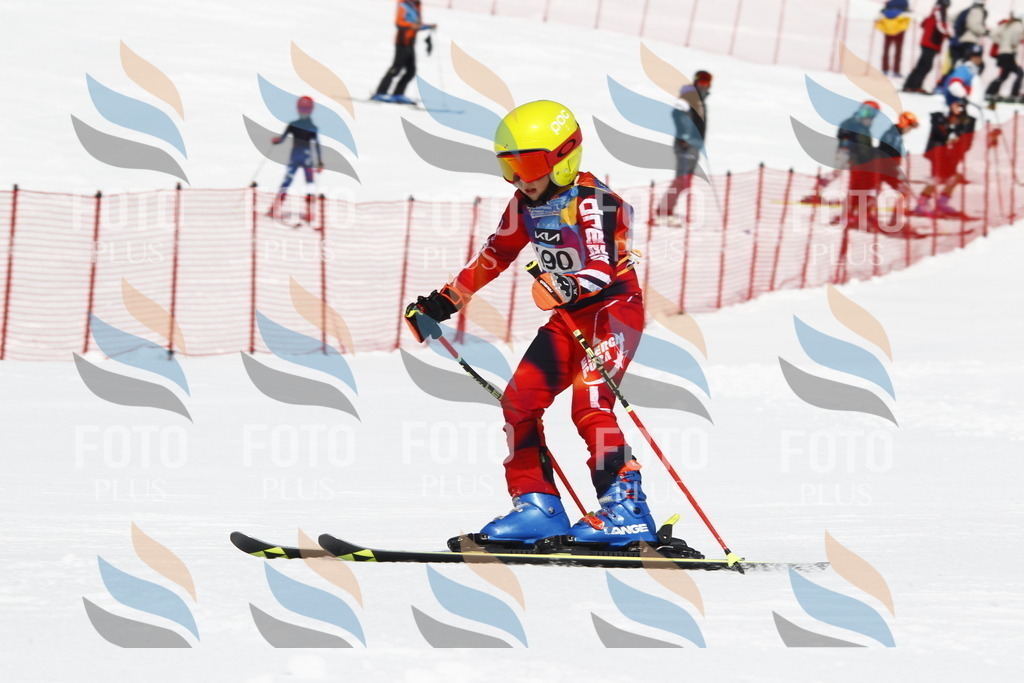 _U3G4996 | holidayphoto