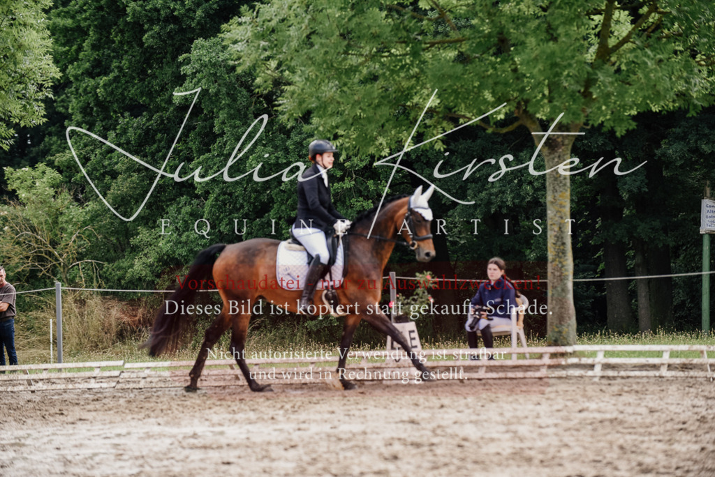 DSC_9864 | Pferde- und Turnierfotografie in Westsachsen. Pferdeportraits, Auftragszeichnungen und intuitive Kunst.
