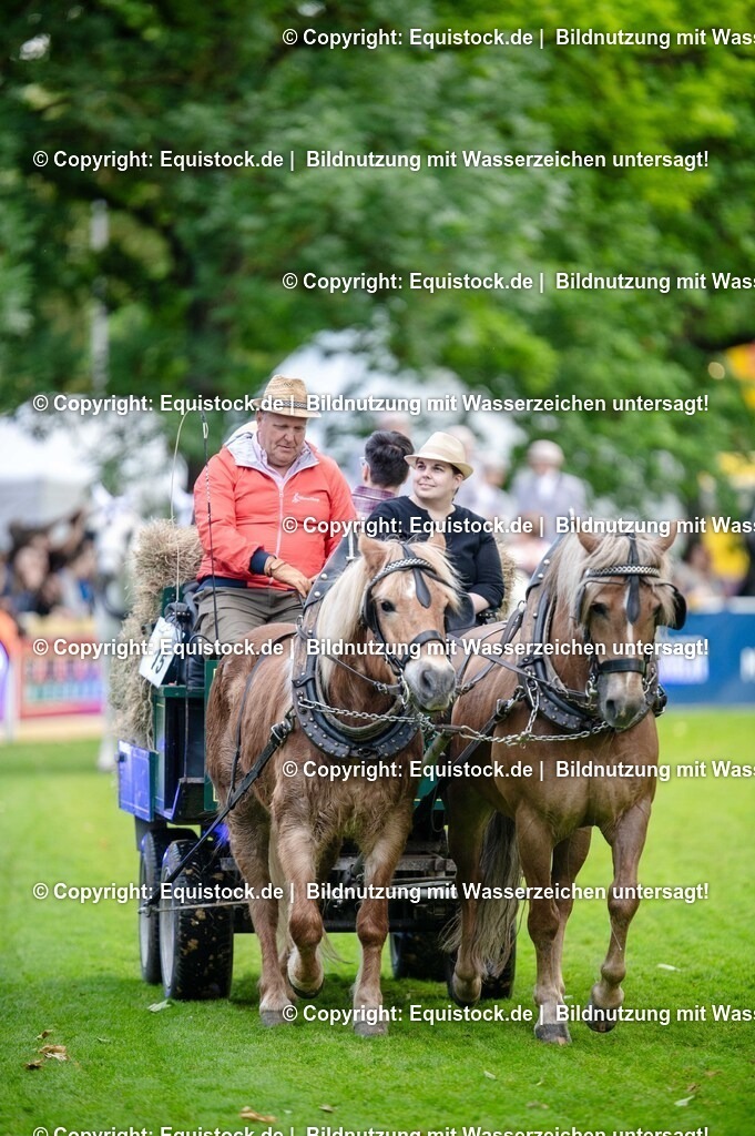 20250606_Lange-Pferdenacht_0207 | Foto: Thomas Hartig