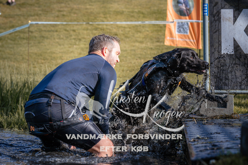 _ZZ959320730 | kk-dogfotos