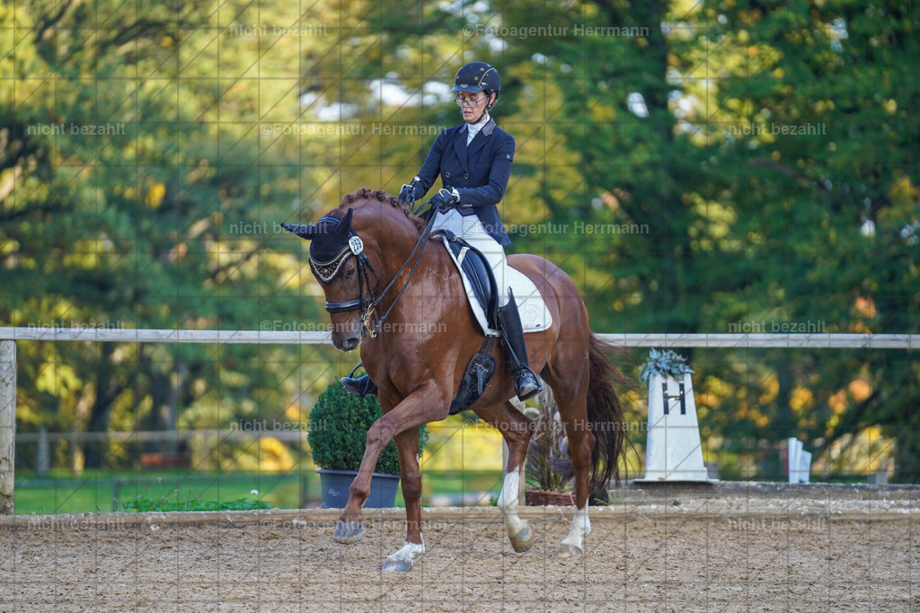 20221007-FAH00325 | Diessen am Ammersee, 2022, Dressur- und Springturnier, Reitsportbilder, Turnierfotografen Bayern, Pferdefotografen, Fotoagentur Herrmann, Turnierbilder