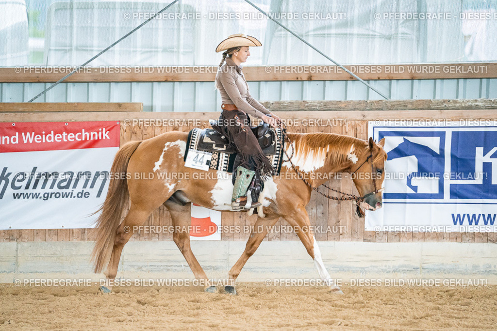 DSC00224 | Pferdegrafie