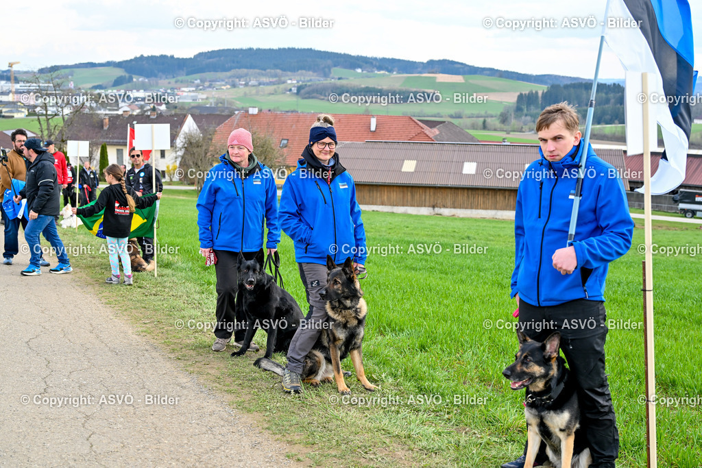 ASVÖ_ Tracking Dog World Championship 2025_ 05.04.2025-95 | bilder.asvo-sport - Realisiert mit Pictrs.com