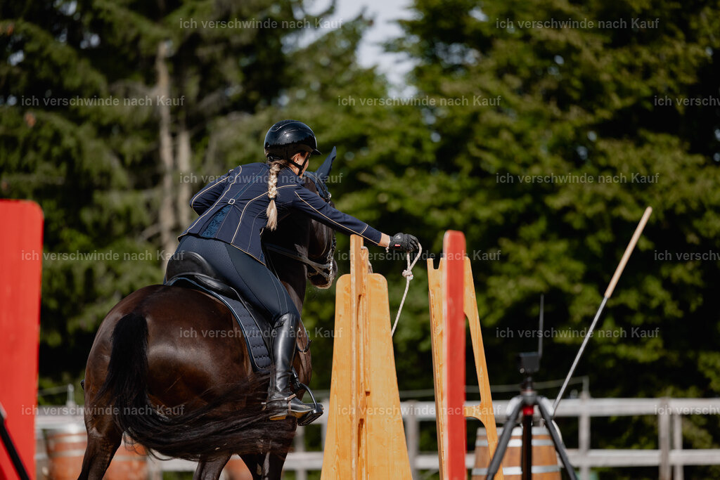 Leonie24_FHC2025-52 | working equitationturnier fotograf videograf stoibphotography marixx film working equitation deutschland reitsport turnierfotografie eventfotografie equestrian events