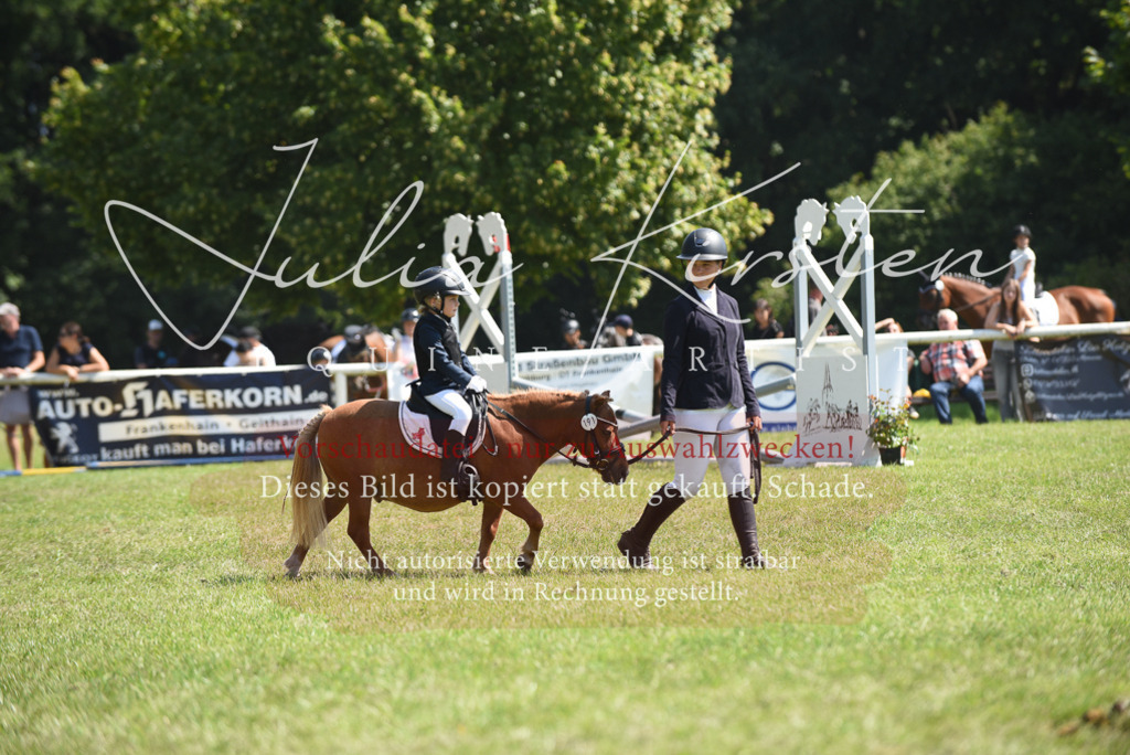 DSC_9870 | Pferde- und Turnierfotografie in Westsachsen. Pferdeportraits, Auftragszeichnungen und intuitive Kunst.