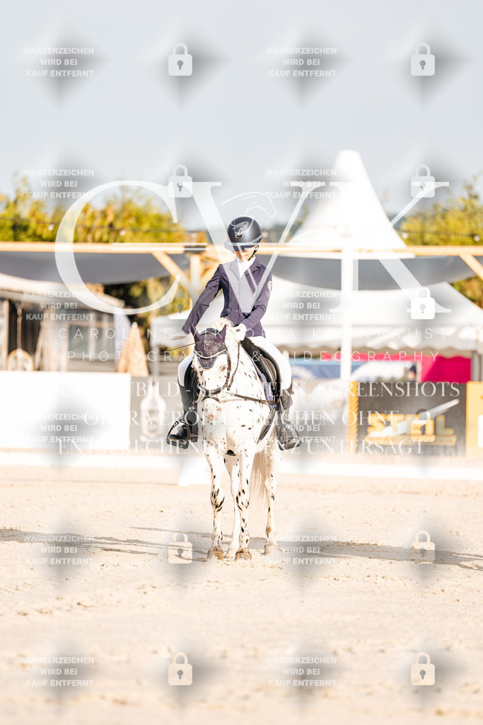 CK903611 | Turnierfotografie Pferdefotografie Trier Rheinland-Pfalz Pferdesport Reitsport Tierfotografie Sportfotografie Pferdevideo Pferdevideografie Equestrianvideography equestrianphotography  - Realisiert mit Pictrs.com