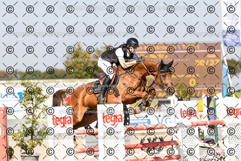 CL5A6753 | Emilia Reinking Fotografie - Realisiert mit Pictrs.com