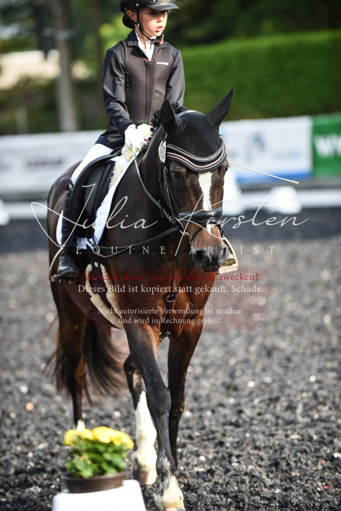 DSC_3514 | Pferde- und Turnierfotografie in Westsachsen. Pferdeportraits, Auftragszeichnungen und intuitive Kunst.