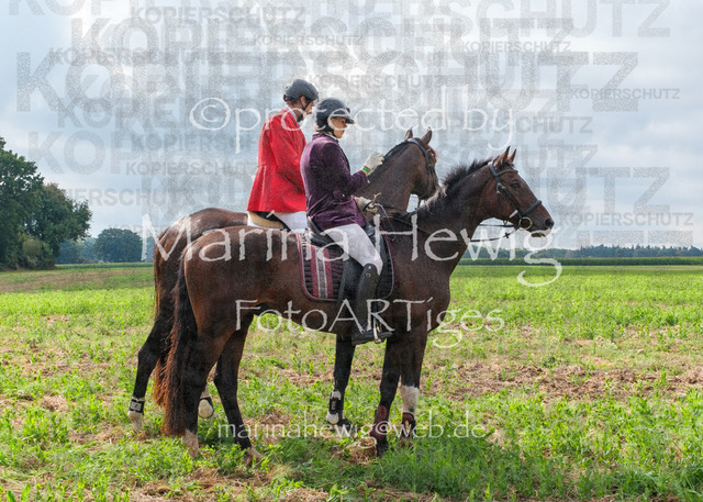 Jagd Perdoel_MarinaHewigDSCF3760 | Fotografie, FotoArt, PferdesportArt, Pferdesportfotografie, Landschaftsfotografie, Reisefotografie, Reise, Pferde - Realisiert mit Pictrs.com