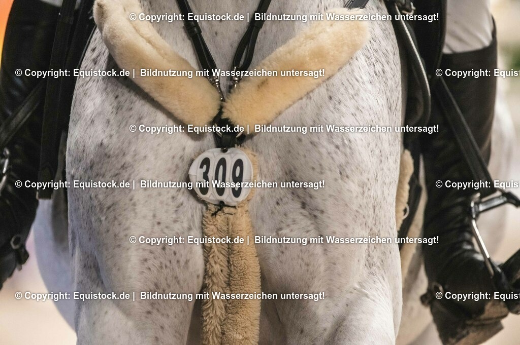 20231116_BW-Bank-Hallenchampionat_0064_TOMsPiC-2 | Foto: Thomas Hartig