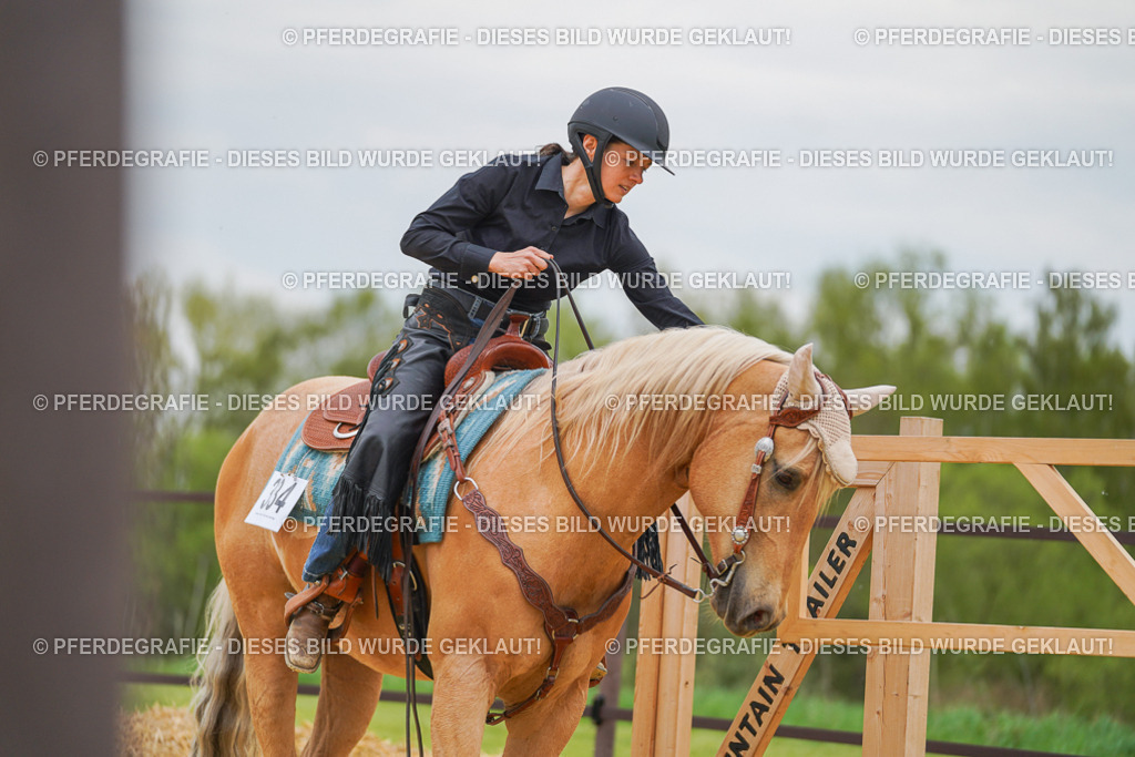 DSC07177 | Pferdegrafie