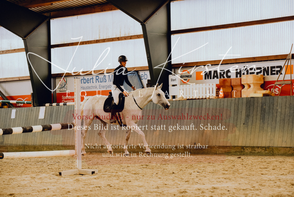 DSC_6961 | Pferde- und Turnierfotografie in Westsachsen. Pferdeportraits, Auftragszeichnungen und intuitive Kunst.