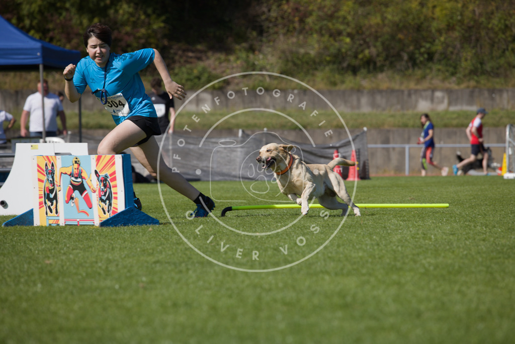 0L8A7391 | Hundefotografie, Tierfotograf, Pfotenfotografie, Fotoshooting Hund, Hunde Portrait, Hundesport, Hundeportraits, Heideshooting, Hunde, Sportfotograf, Hundefotograf, Turnierhundsport, THS,  - Realisiert mit Pictrs.com