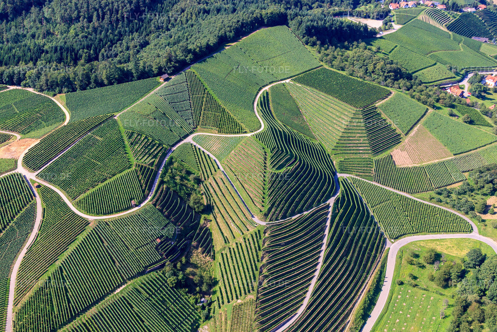 Luftbild: Weinbergsteilhänge am Büchelbach in Kappelrodeck im Bundesland Baden-Württemberg in Deutschland. Foto: IMG_31505.jpg vom 09.08.2010 durch Werner Riehm/FLY-FOTO.de