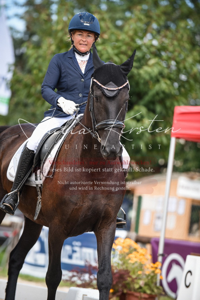 DSC_9158 | Pferde- und Turnierfotografie in Westsachsen. Pferdeportraits, Auftragszeichnungen und intuitive Kunst.