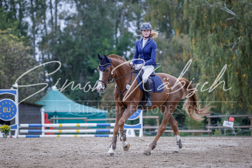 20251012-_3LI2908 | Tierfotografie Pferde, Hunde, Katzen, Haustiere.
Turnierfotografie Reitturniere, Reiten, Springreiten, Dressur in Hanau, dem Main-Kinzig-Kreis und dem Rhein-Main- Gebiet um Frankfurt