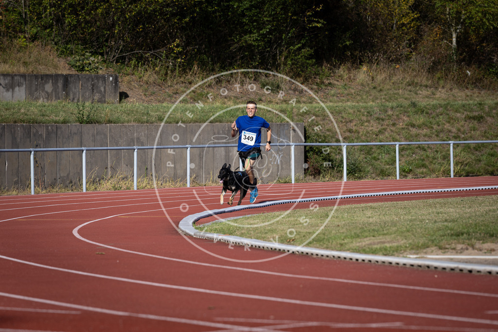 Pfotenfotografie_DV3A9153 | Hundefotografie, Tierfotograf, Pfotenfotografie, Fotoshooting Hund, Hunde Portrait, Hundesport, Hundeportraits, Heideshooting, Hunde, Sportfotograf, Hundefotograf, Turnierhundsport, THS,  - Realisiert mit Pictrs.com