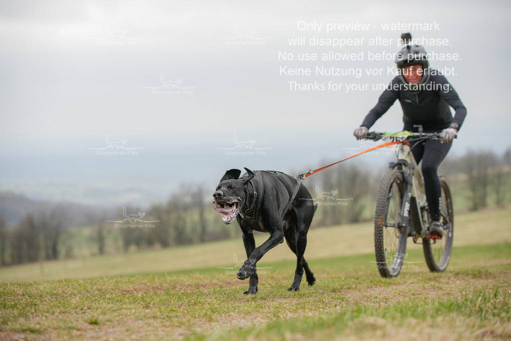 BikeSA-366 | stephaniefillaphotographie - Realisiert mit Pictrs.com