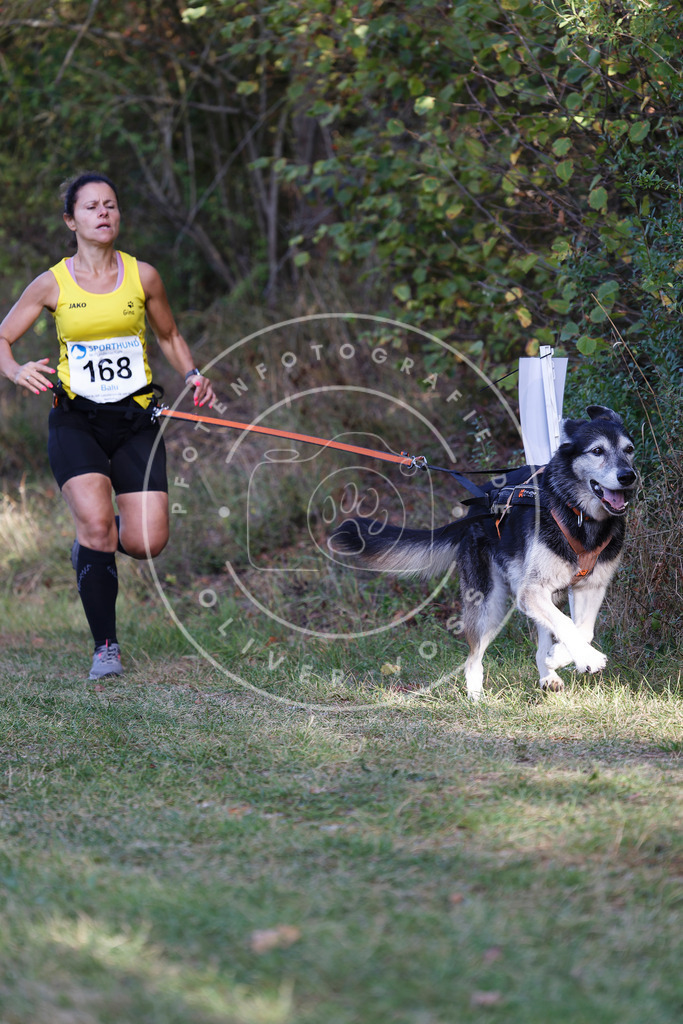 0L8A5323 | Hundefotografie, Tierfotograf, Pfotenfotografie, Fotoshooting Hund, Hunde Portrait, Hundesport, Hundeportraits, Heideshooting, Hunde, Sportfotograf, Hundefotograf, Turnierhundsport, THS,  - Realisiert mit Pictrs.com
