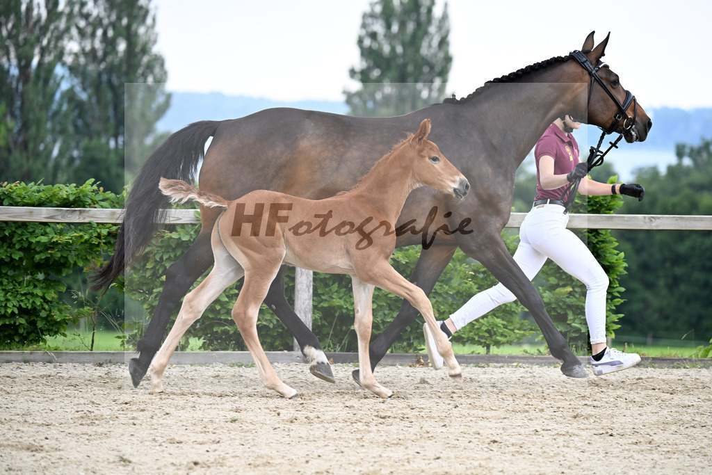 Kat-Nr. 22 Va Bene x Fahrenheit_HF_Bosch_14250217 | hf-fotografie - Realisiert mit Pictrs.com