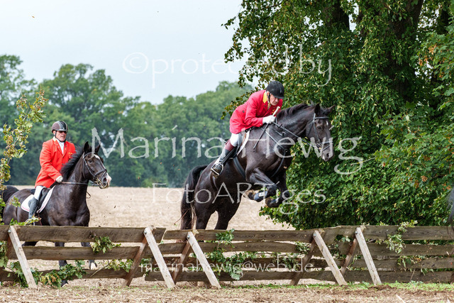 Jagd Perdoel 26 Sony-03319_MarinaHewig | Fotografie, FotoArt, PferdesportArt, Pferdesportfotografie, Landschaftsfotografie, Reisefotografie, Reise, Pferde - Realisiert mit Pictrs.com