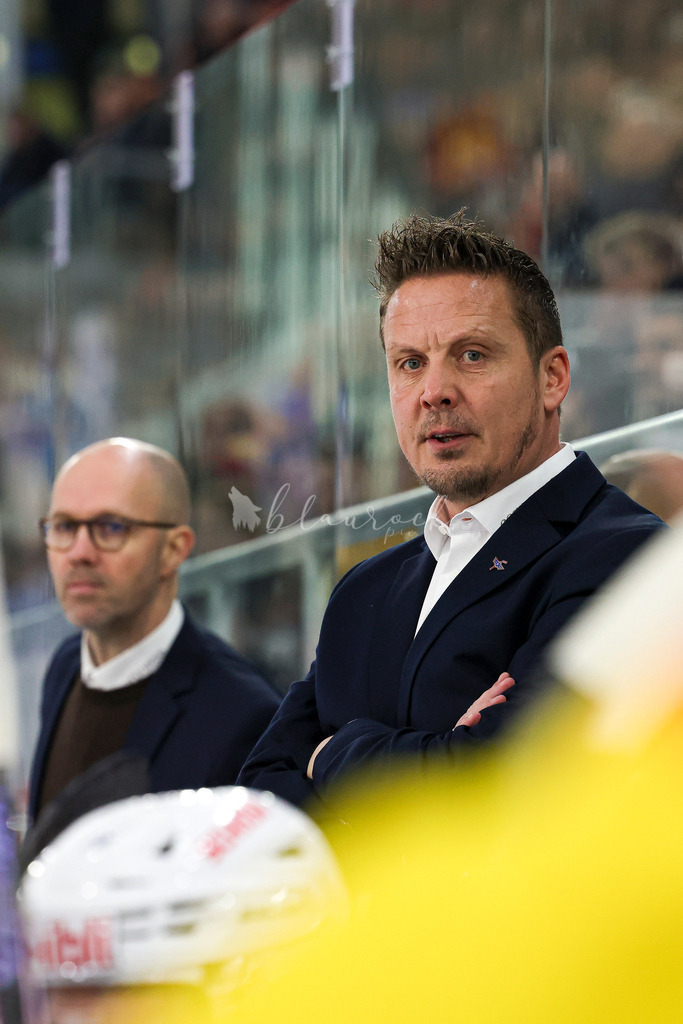 EHCB vs EHCK_wb-9613 | Sportbilder, Sportfotograf, Hochzeits- und Eventfotografin, Flugshows, Portraits und Tiershooting, Aviation, Downhill, Nationalleague, Swissleague, International