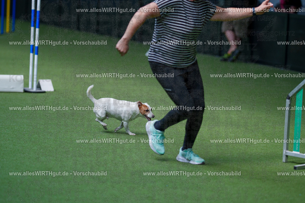 @allesWIRTHgut_Tierfotografie - www.allesWIRTHgut.de - 2604261328-7R501958 | Professionelle Tierfotografie in Mönchengladbach von Daniel Wirth (allesWIRTHgut). Liebevolle & natürliche Bilder von Hunden & Katzen für unvergessliche Erinnerungen.