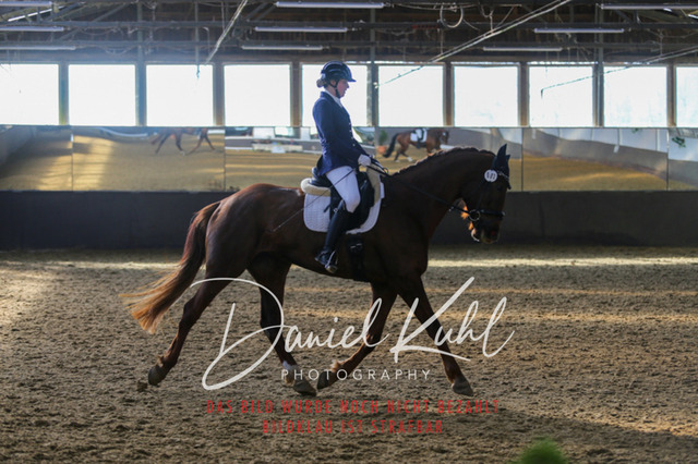 IMG_2243 | Turniersportfotografie; Pferdefotografie; Dressurfotografie