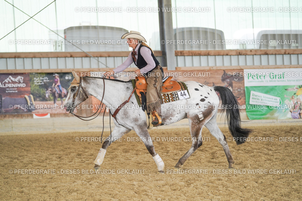 DSC01971 | Pferdegrafie