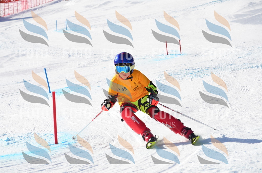 C6484 | holidayphoto