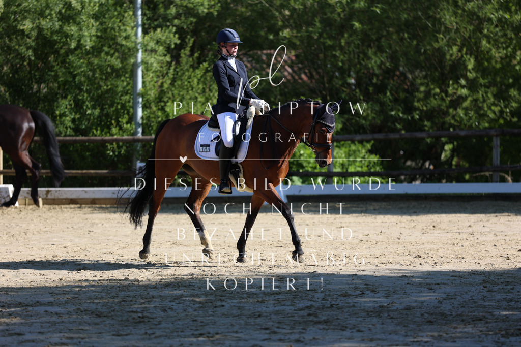 IMGT9637 | pl-fotografie