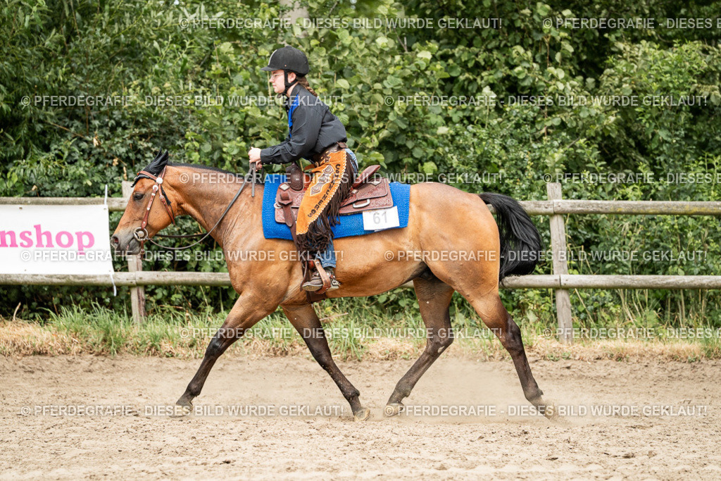 DSC01640 | Pferdegrafie