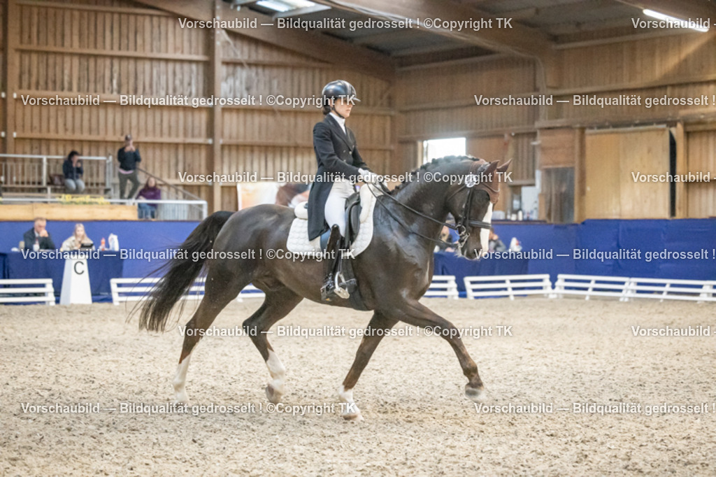 _D5A4750 | Emotionale Pferde- & People-Fotografie rund um Heidelberg, Leimen & Umgebung. Natürliche Fotos von Pferd, Mensch & Familie. Jetzt Termin sichern!