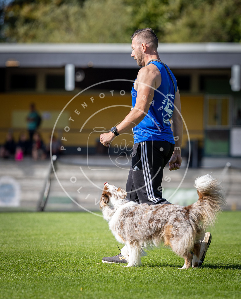 Pfotenfotografie_DV3A4965 | Hundefotografie, Tierfotograf, Pfotenfotografie, Fotoshooting Hund, Hunde Portrait, Hundesport, Hundeportraits, Heideshooting, Hunde, Sportfotograf, Hundefotograf, Turnierhundsport, THS,  - Realisiert mit Pictrs.com