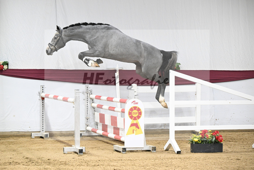 Kat-Nr. 96 Mylord Carthago x Heartbreaker_Daniel Dassler_47253142 | hf-fotografie - Realisiert mit Pictrs.com