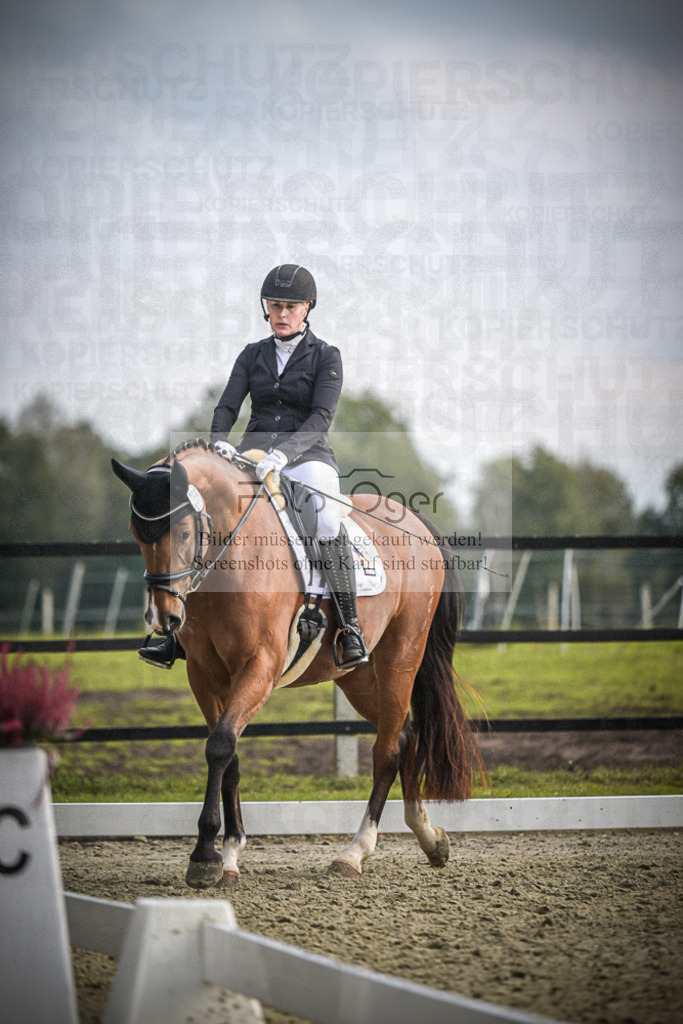 DOS_B203 | Entdecke hochwertige Reitturnierfotos von Foto Oger. Professionell, emotional und authentisch – jetzt Lieblingsmomente im Shop bestellen.Deutschlandweite Turnierfotografie. - Realisiert mit Pictrs.com