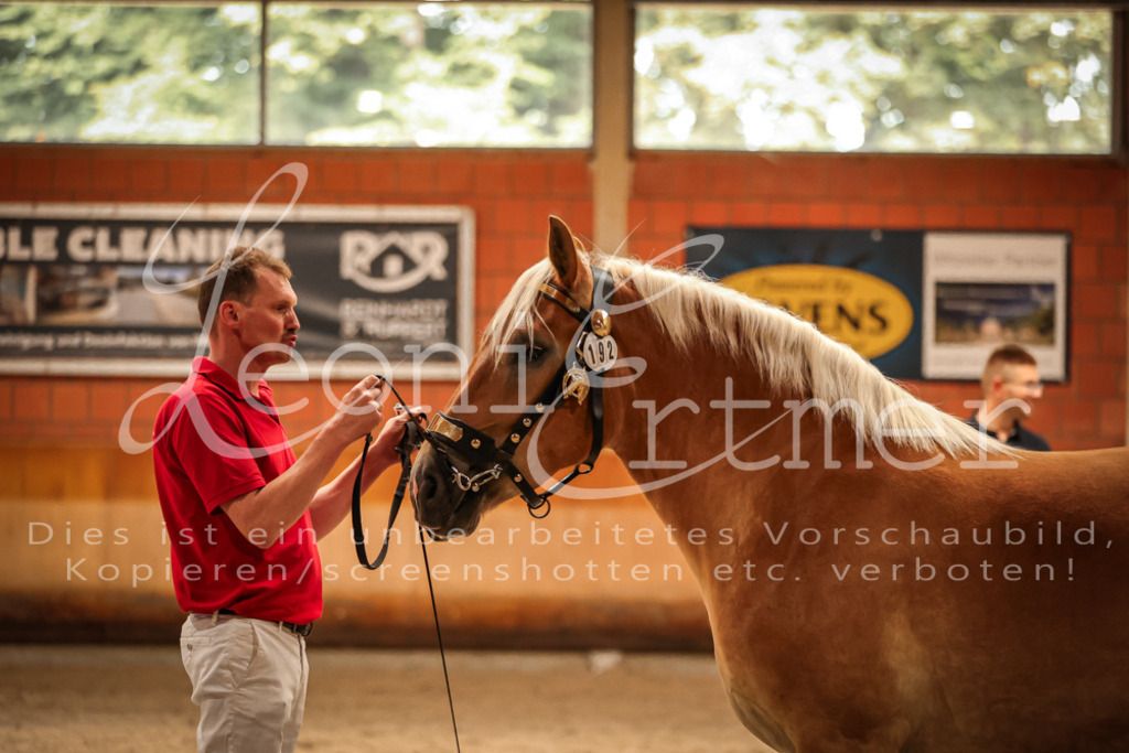 SaFL00269 | Leoni Ertmer Photography - Realisiert mit Pictrs.com