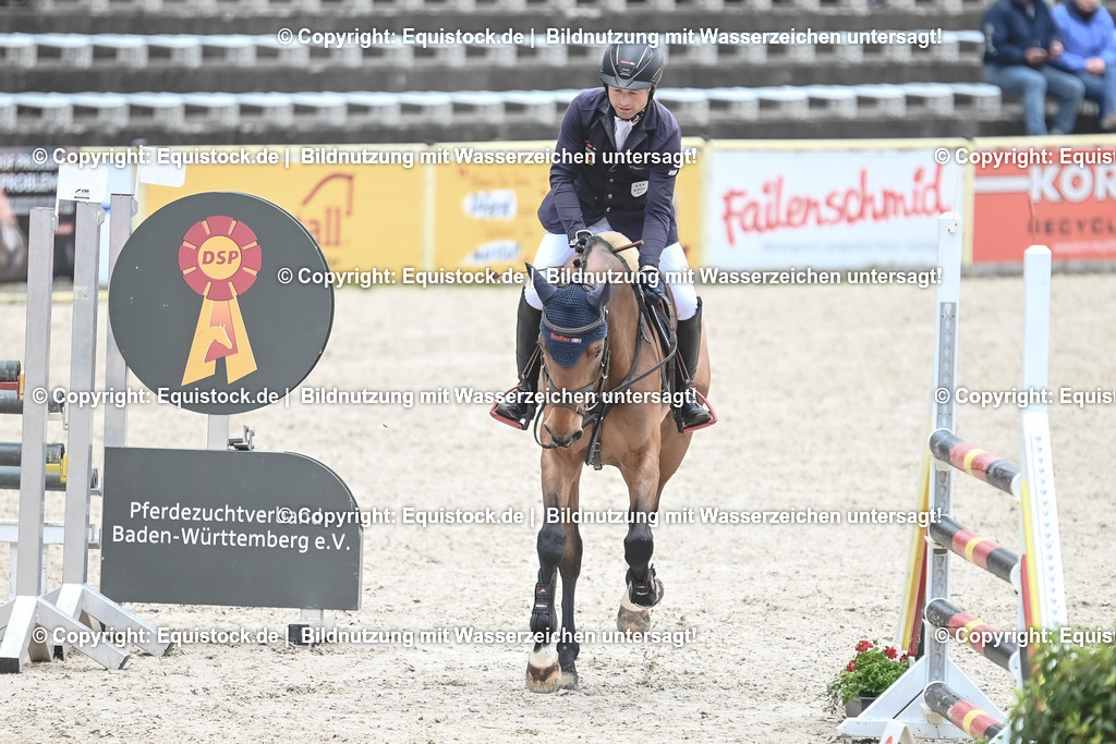 20230514_CCI2_Section1_Springen_0098 | equistock